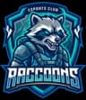 Raccoons