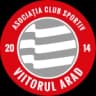 Вииторул Арад U12