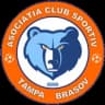 АЧС Тампа Брашов U12