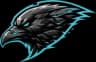 Not A Squad Esports
