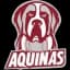 Аquinas Saints