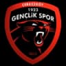 Черкезкёй 1923 Генчликспор
