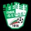 PFC Берое (White) U8