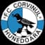 FC Корвинуль Хунедоара