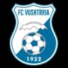KF Вуштрия U19