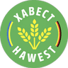 ФК Хауэст