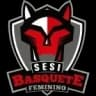 SESI Аракарака U23