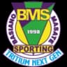 BMS Трициум Next Gen