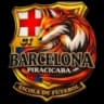 CT Барселона де Пирасикаба U15