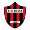 АО Тива B