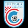 ХНК Cibalia U9