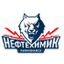 Нефтехимик Нижнекамск