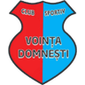 СК Войнца Домнешти