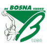 РК Босна Високо