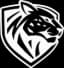 Ilbirs eSports