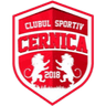 СК Черника J3