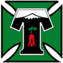 Депортес Темуко U16