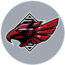 Aalborg Rebels