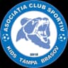 ACS Кидс Тампа Брашов U17