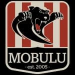 Мобулу Футзал Уни Берн